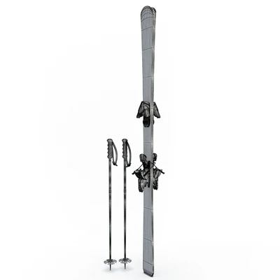 Skis and sticks — Ver 3
