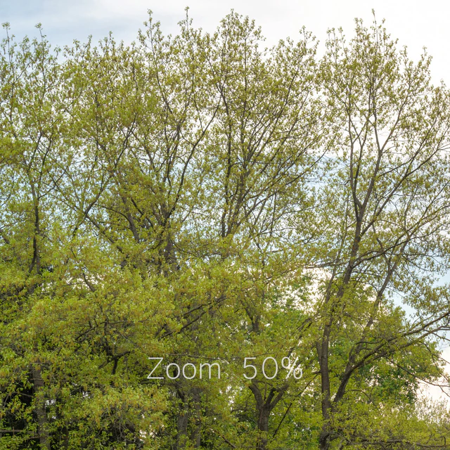 Panorama from the park v2. 30k — Descargar