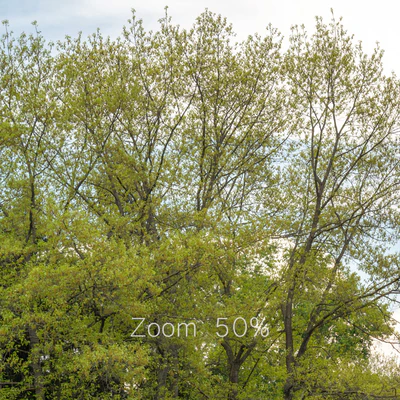 Panorama from the park v2. 30k — Ver 6