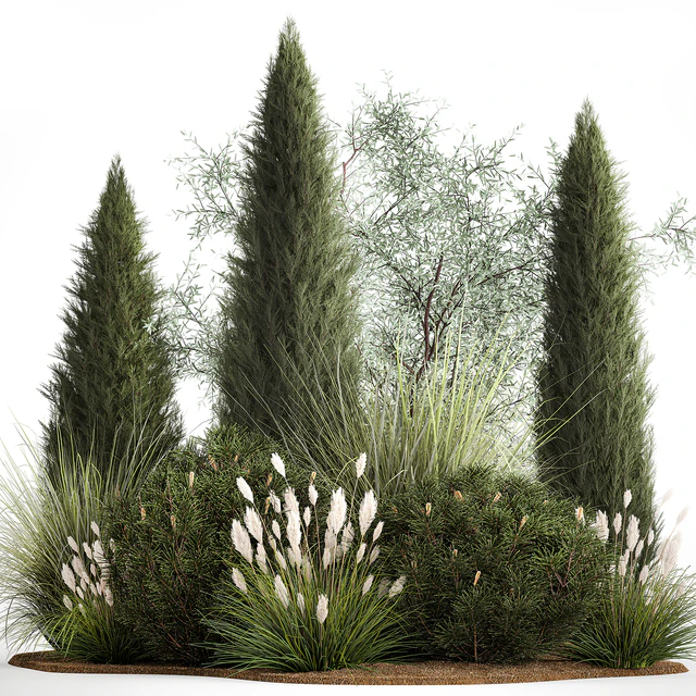 Alpine hill olive, pine, reed, thuja and cypress, feather grass grass, silver goof. Plant collection 1188 — Descargar