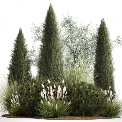 Alpine hill olive, pine, reed, thuja and cypress, feather grass grass, silver goof. Plant collection 1188 — Ver 1
