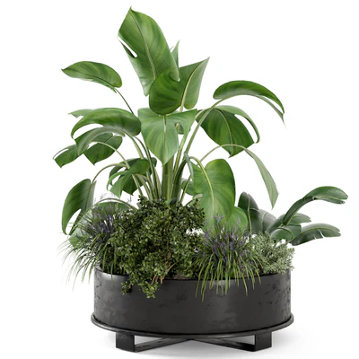 Outdoor Plants Bush in rusty Metal Pot - Set 222 — Ver 4