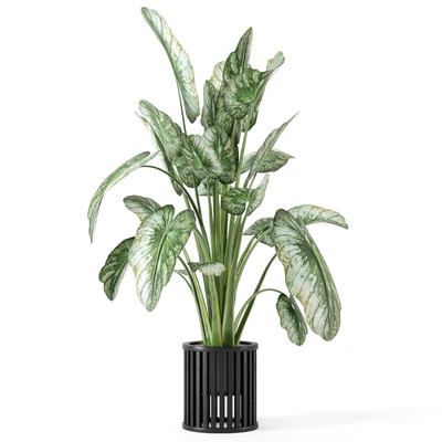 Indoor Plants  in Metal Pot - Set 842 — Вид 3