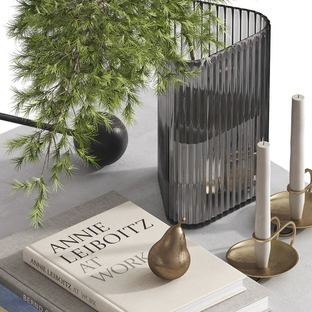 Decorative set by MENU SPACE with pine branches — Descargar
