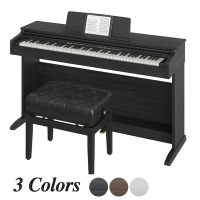 Casio Celviano AP-270 — Ver 1