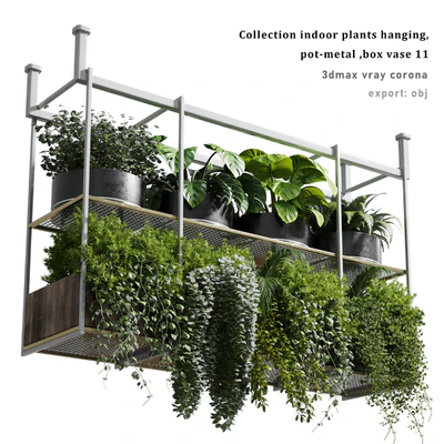 collection Indoor plants hanging pot-metal bax vase 11 — Ver 1