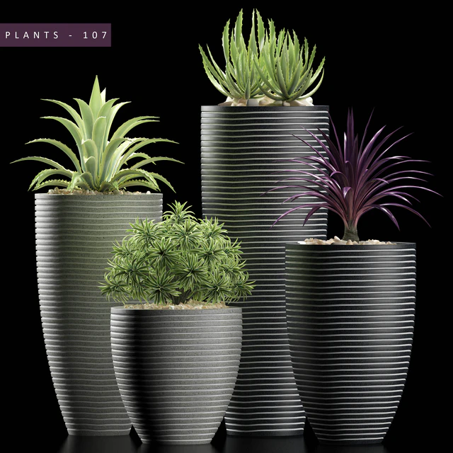 PLANTS 106 — Descargar