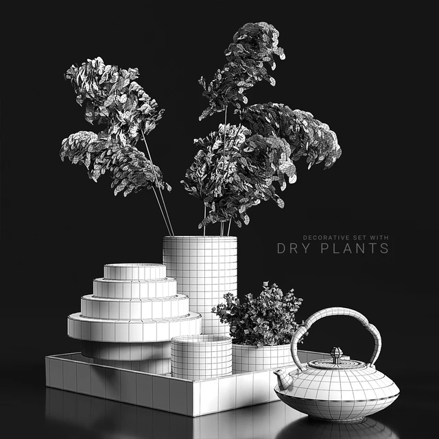 Decorative set with dry plants 3 — Скачать