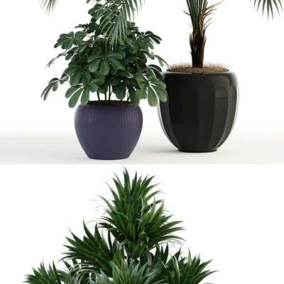 Plants collection 86 — Ver 2