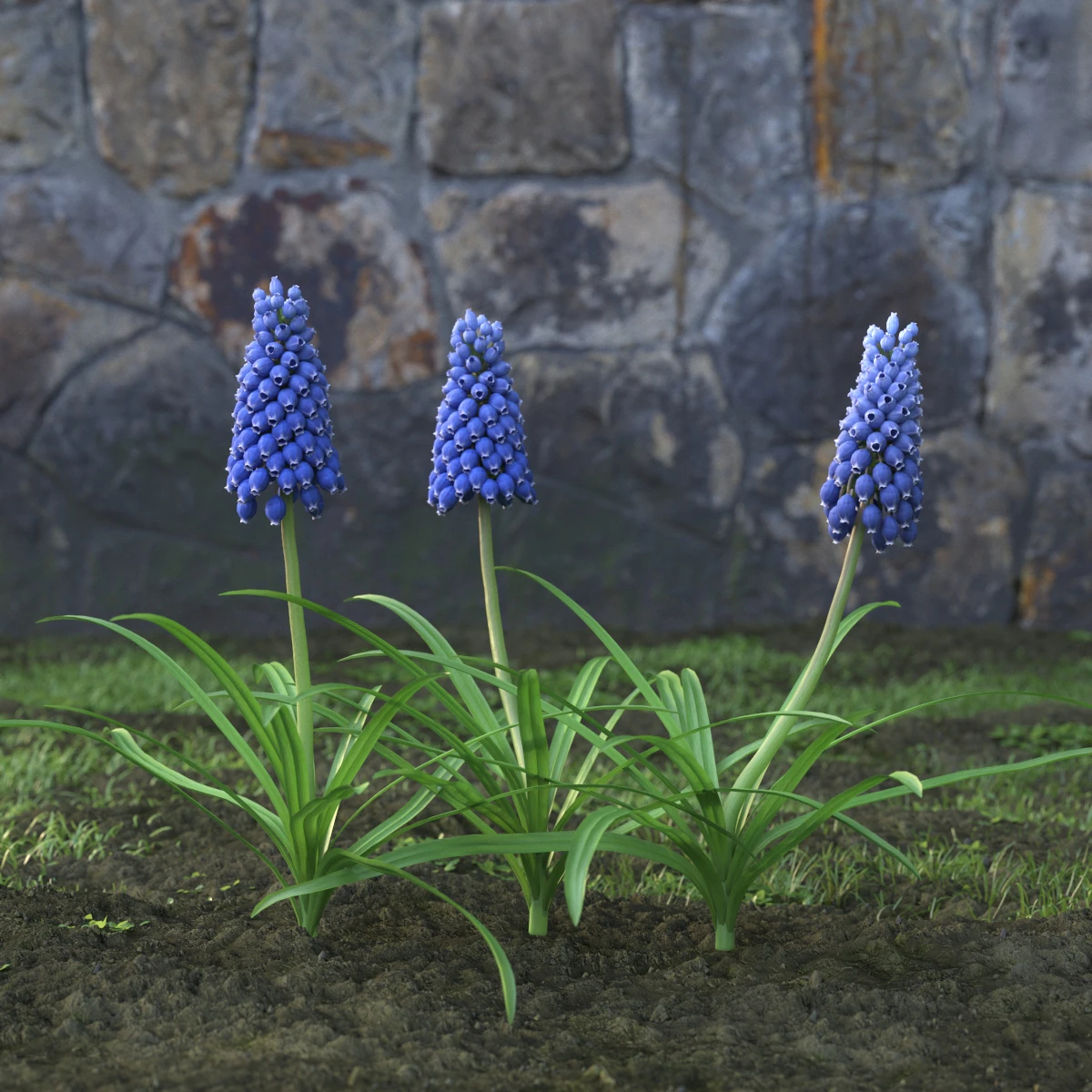 garden flowers 052 — Descargar