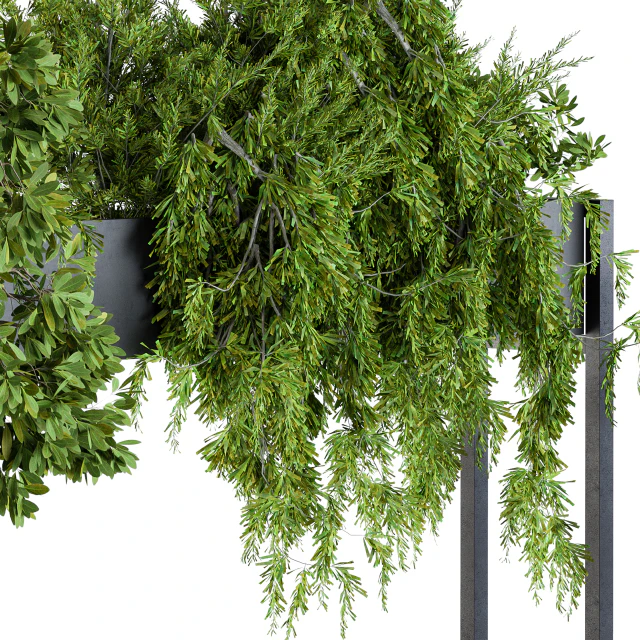 Plant box metal compact — Descargar
