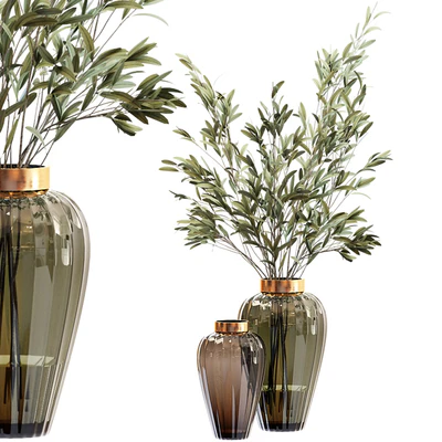 Olive stems in zara glass vase with water — Вид 1