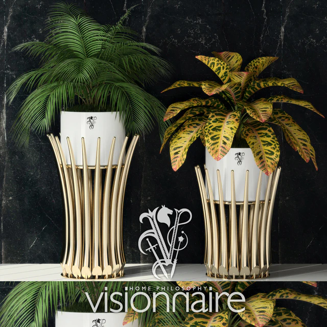 Visionnaire Panarea IPE Cavalli — Descargar