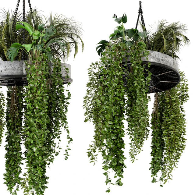 Indoor Hanging Plants in Metal Box - Set 86 — Скачать