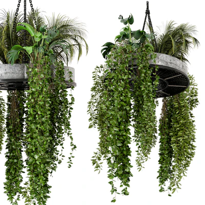 Indoor Hanging Plants in Metal Box - Set 86 — Вид 1