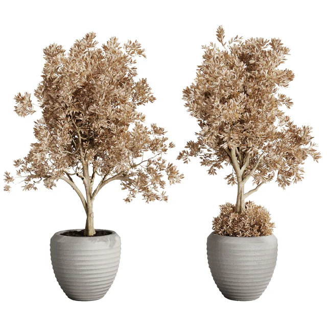 Dry Grass and Trees in a Concrete Pot - Indoor plant autumn set 570 — Скачать