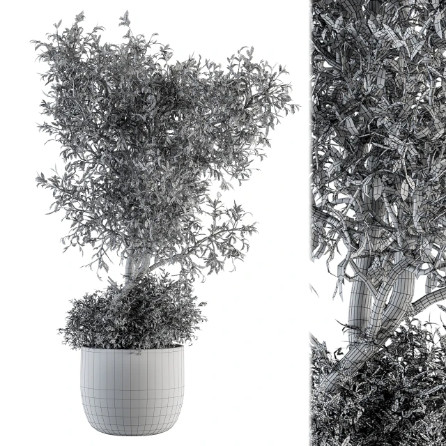 Outdoor Plant Set 178 - Plant in Pot — Скачать