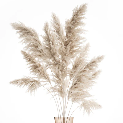 A beautiful lush bouquet of dried flowers in a vase with dry branches of pampas, Cortaderia, white reeds. 150. — Ver 4