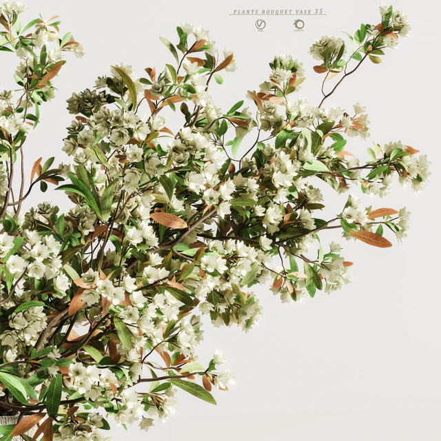plants bouquet vase 35 — Descargar