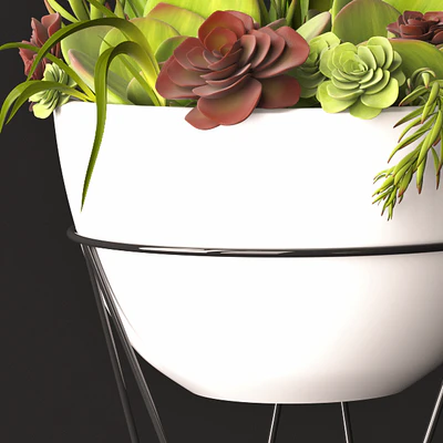 Succulent arrangement — Ver 2