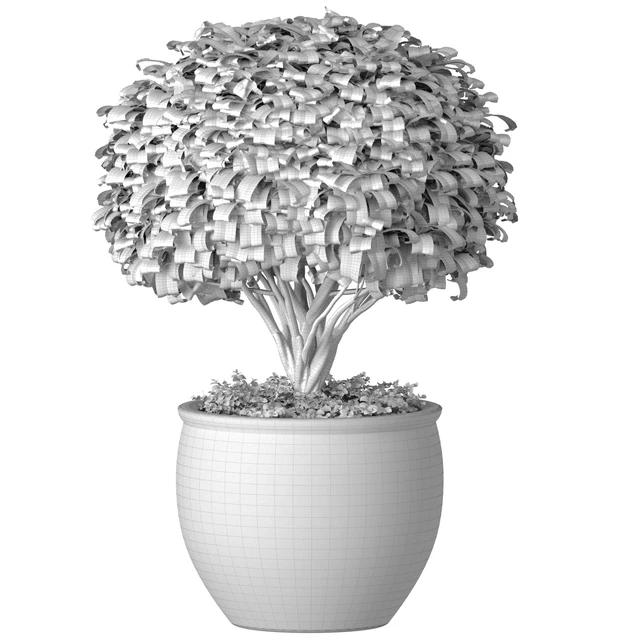 Decorative tree in an Italian vase. Indoor plant — Descargar