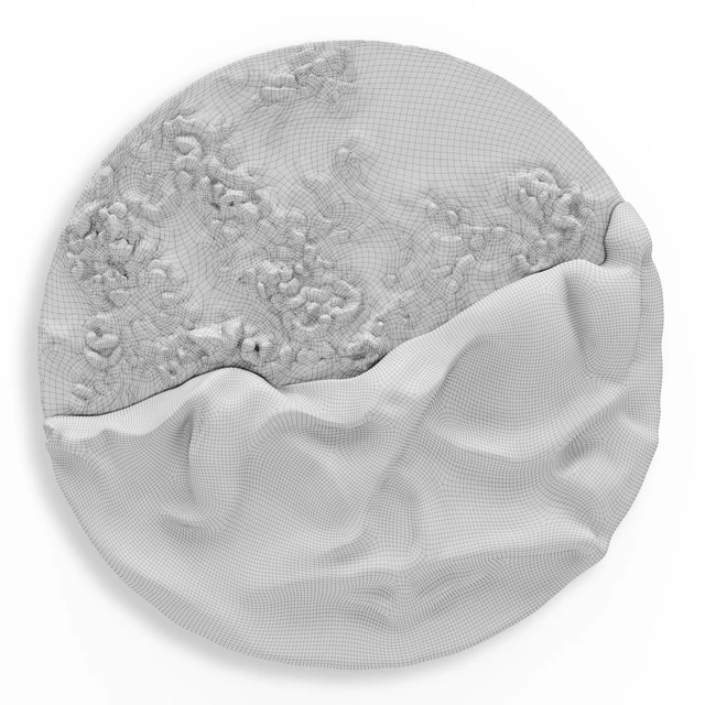 Paola Romano Luna Evolutiva wall art metal plaster — Descargar