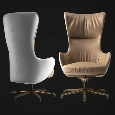 Giorgetti Genius office armchair — Вид 1