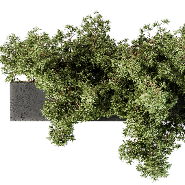 Outdoor Plant Set 103 - Hanging Plants — Скачать
