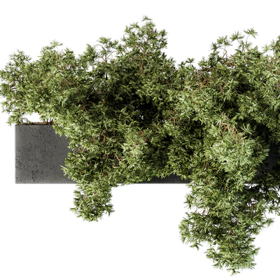 Outdoor Plant Set 103 - Hanging Plants — Вид 5