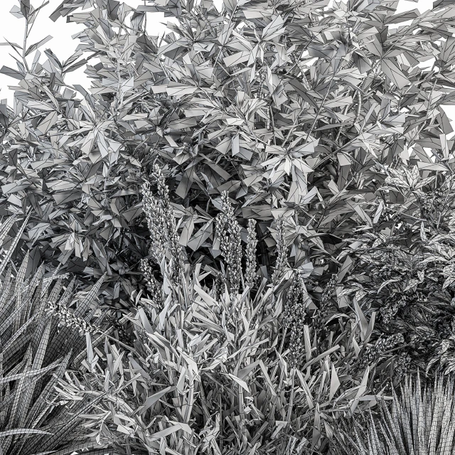 Mixed Plant Bush Green and Purple - Bush Set 50 — Descargar