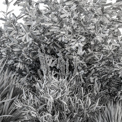 Mixed Plant Bush Green and Purple - Bush Set 50 — Ver 3
