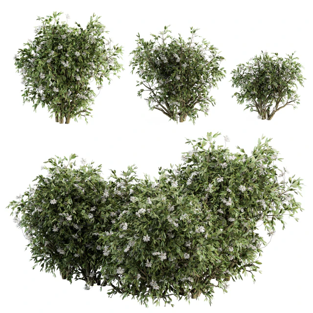 Flower Bush - Bush Set 15 — Descargar