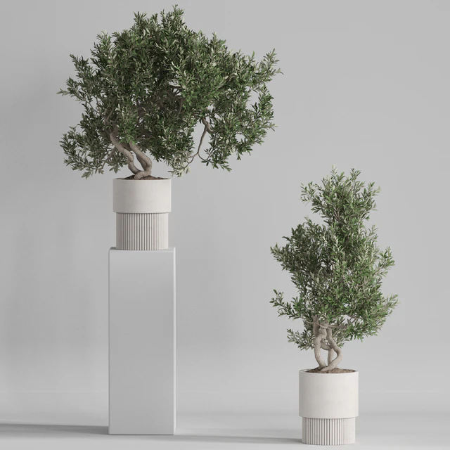 Plants collection 735 — Descargar