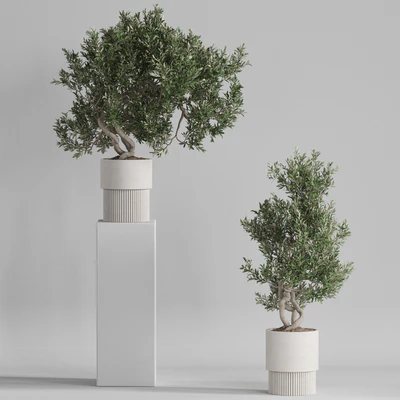 Plants collection 735 — Ver 6