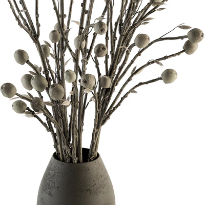 Bouquet 32 - Dried Plant Papavet Bouquet — Ver 2
