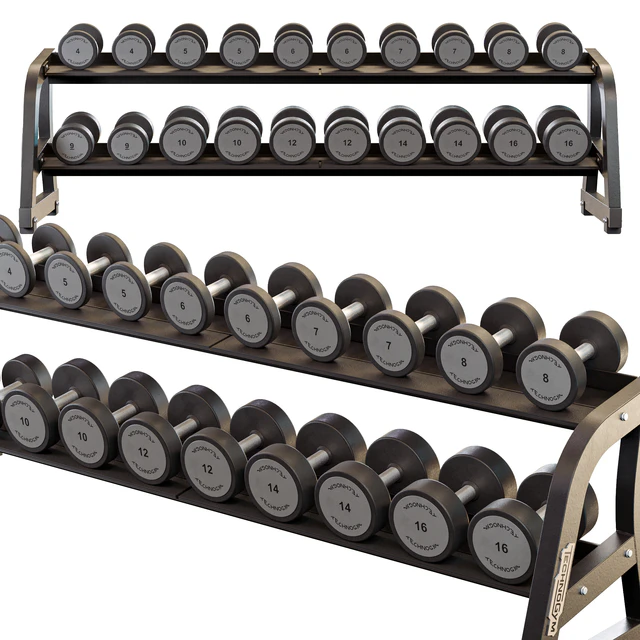 Technogym Two Tier Dumbbell Rack — Descargar