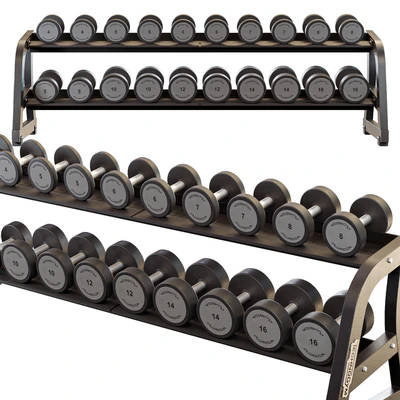 Technogym Two Tier Dumbbell Rack — Ver 1