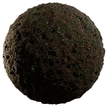 moist lakebed growth 003 — Descargar