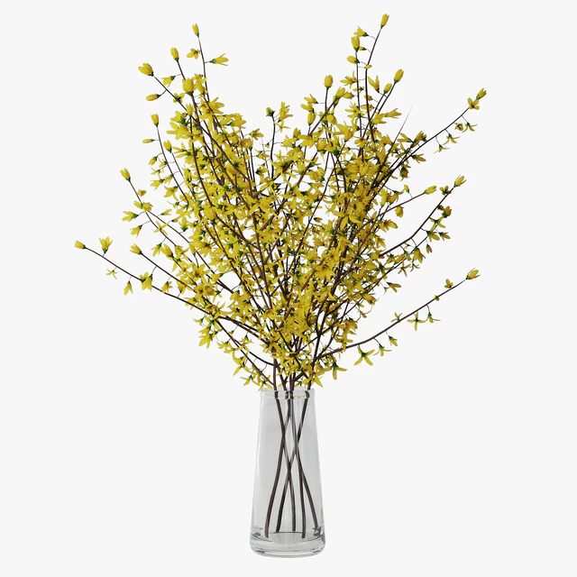 Forsythia 02 — Descargar