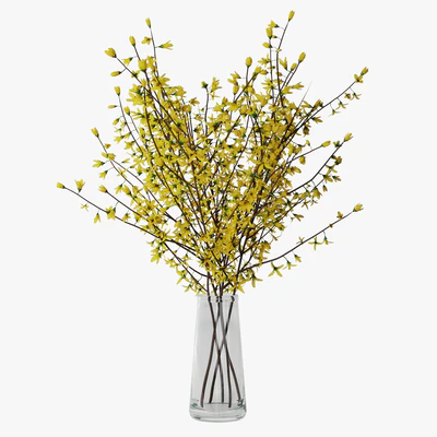 Forsythia 02 — Ver 1