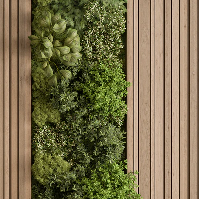 Vertical Garden - Green Wall 74 — Ver 3
