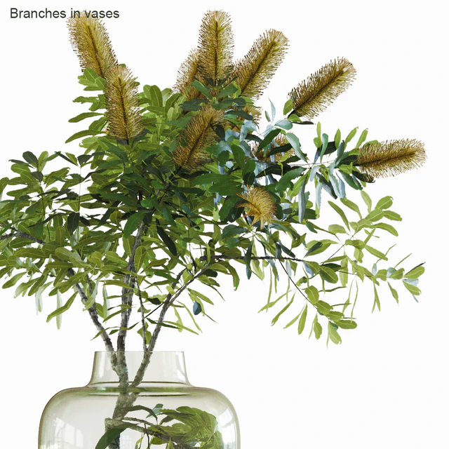 Branches in vases # 28: Banksia — Descargar