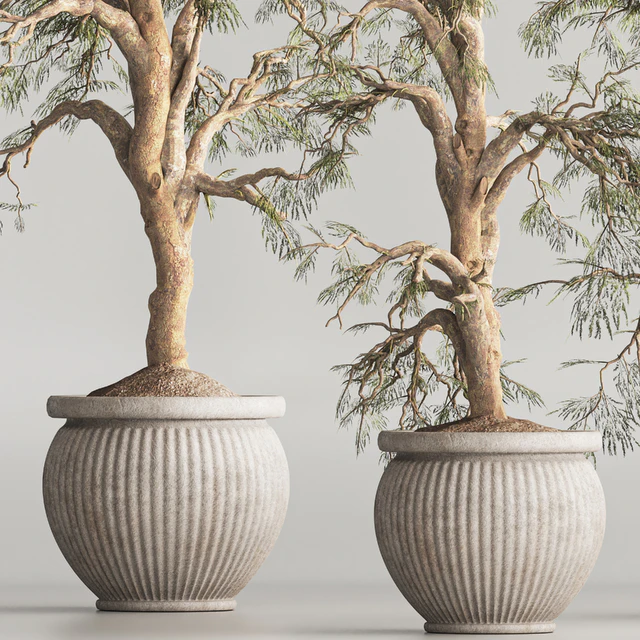 Indoor Plant Set 69 — Скачать