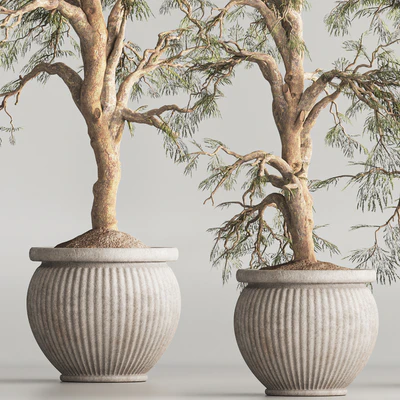 Indoor Plant Set 69 — Вид 5
