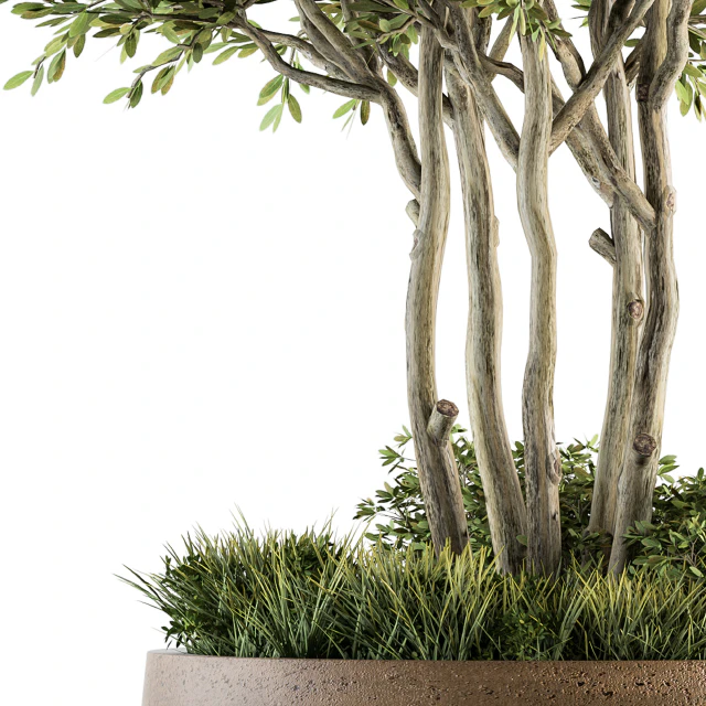 Outdoor Plants tree in Concrete Pot - Set 135 — Descargar