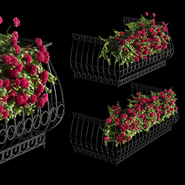 Plant geranium for the facade — Descargar