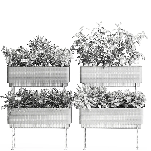 Collection of potted plants Kitchen garden, vegetables, tomatoes, peppers, herbs, Rosemary, lettuce, Lettuce, garden bed. Set 1059. — Descargar