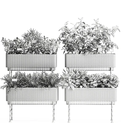 Collection of potted plants Kitchen garden, vegetables, tomatoes, peppers, herbs, Rosemary, lettuce, Lettuce, garden bed. Set 1059. — Ver 4