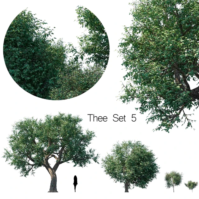 Thee set 5 — Descargar
