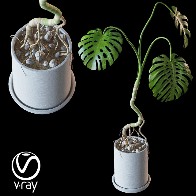 Home plant v2 (Realistic) — Скачать